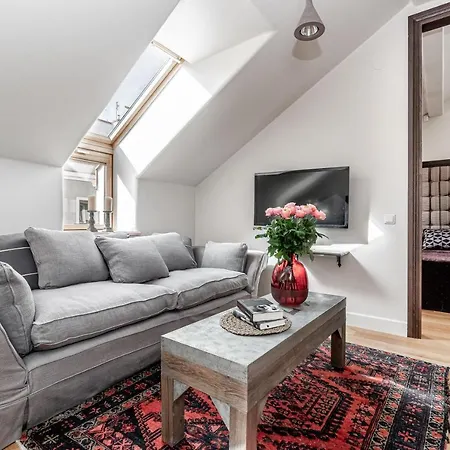 Apartment Luxury Gaono In Old Town