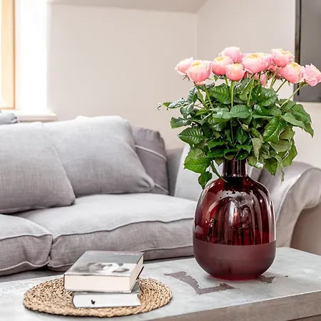 Apartment Luxury Gaono In Old Town *