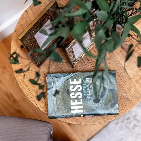 Luxury Gaono In Old Town 公寓 *